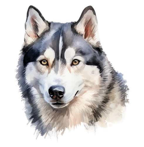 Adesivi auto per cani - adesivi,