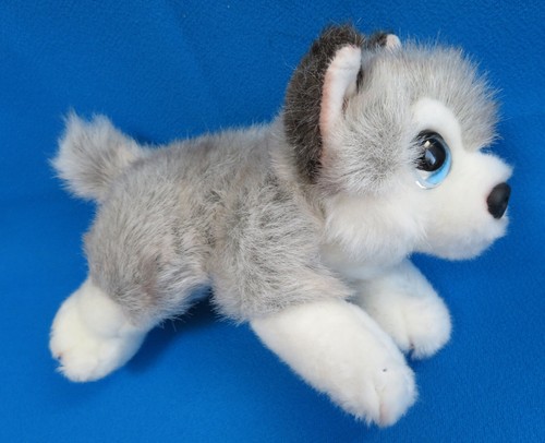 Siberian husky alaskan - husky,