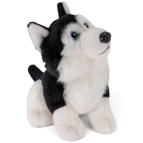 Carl dick husky - , nero