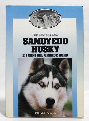 Samoyedo husky cani - husky, del