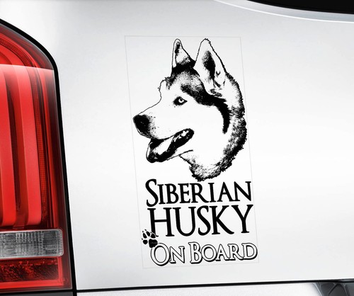 Husky car window - husky,