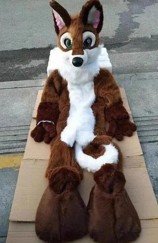 Costume lungo pelliccia husky