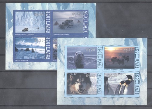 Antartide cani - (706612), antartide,