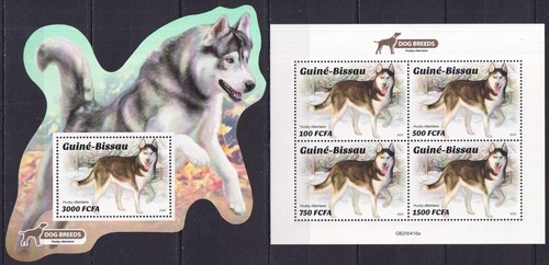 Yx1004 2020 cani - yx1004,