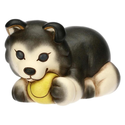 Cane husky thun polo con - husky,