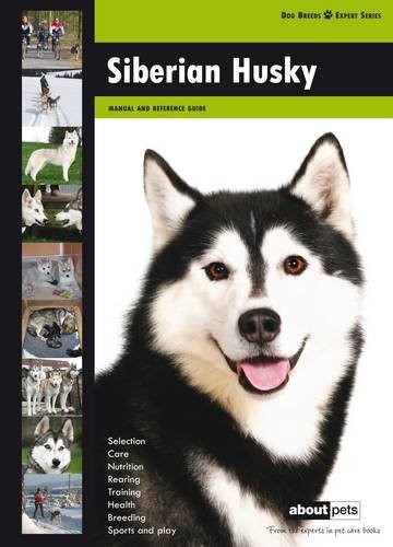 Siberian husky dog breed - husky:,