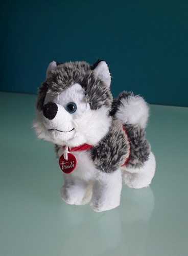 Trudi peluche cane - peluche,, husky