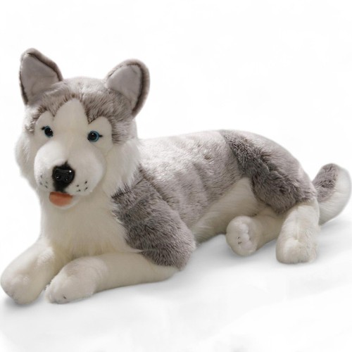 Carl dick husky - sdraiato, cane