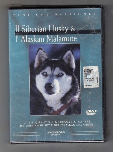 Dvd siberian husky e - il,