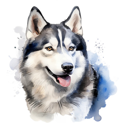 Adesivi auto per cani - adesivi,