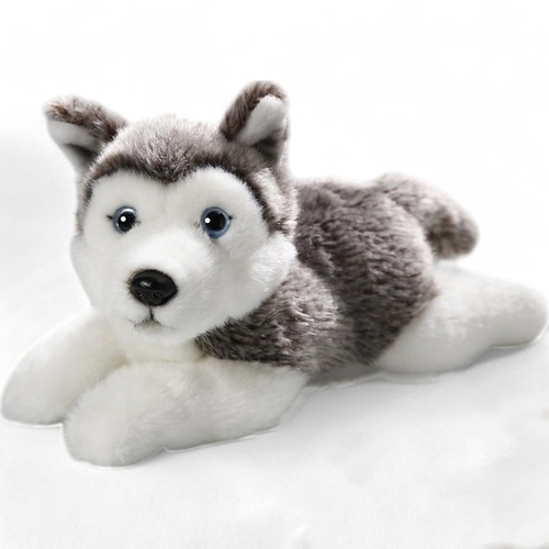 Carl dick husky cane - carl,