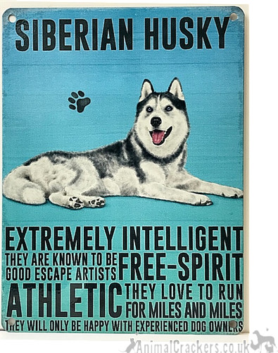 Siberian husky metal sign 20cm - siberian,