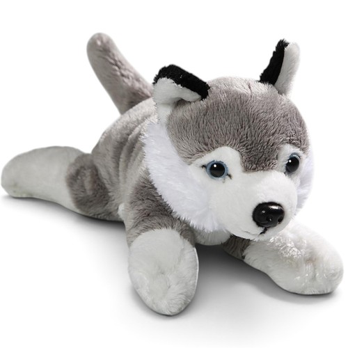 Carl dick husky sdraiato cane - carl,