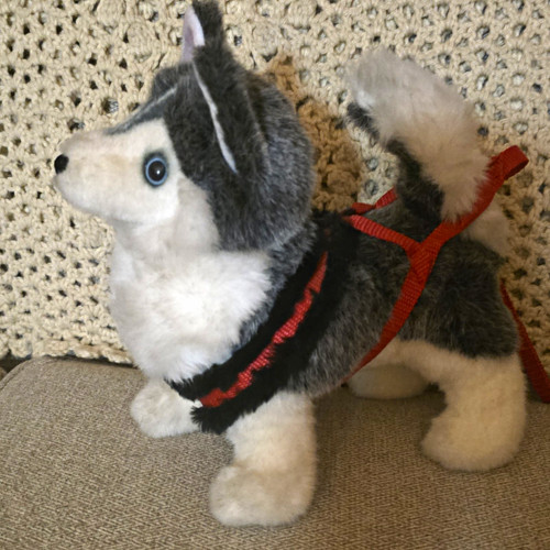 American girl today husky - girl, of