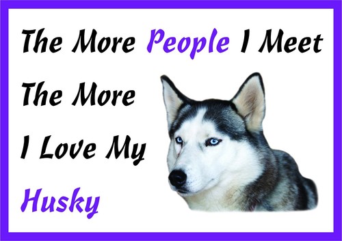 The more love husky dog - more, i