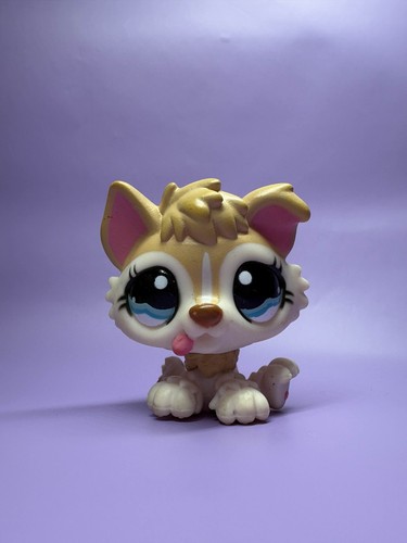 Littlest pet shop - , #1013