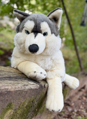 Peluche nuovo senza - peluche,