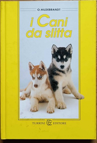 Cani slitta siberian - cani,
