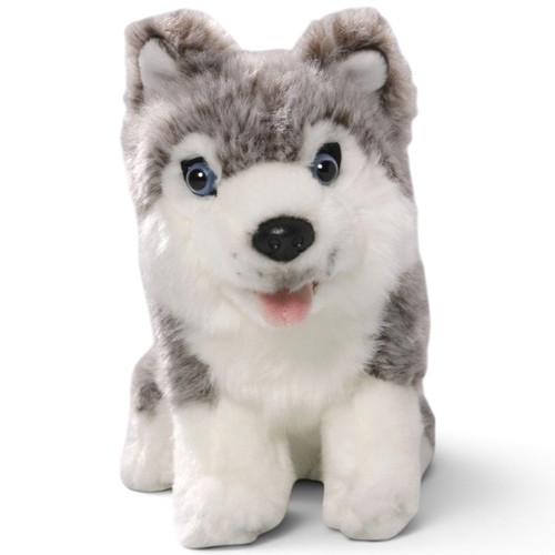 Carl dick husky - carl, seduto