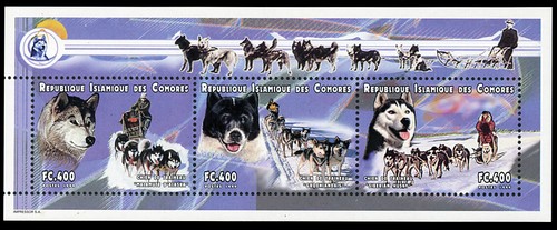 Husky dog postage - stamp, mini