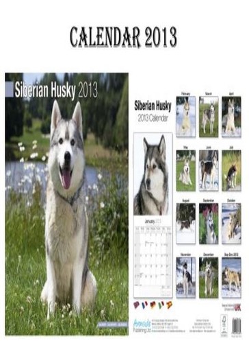 Siberian husky dogs - husky,