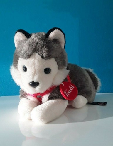 Trudi peluche cane - peluche,cane, siberian