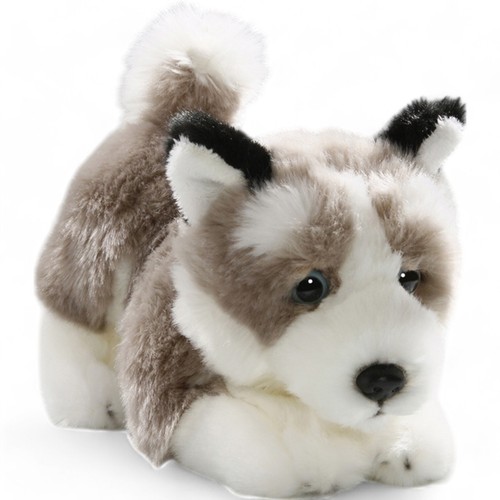 Carl dick husky cane animale - dick, cane,