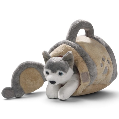Cane husky cuccia circa 16 - cane, in