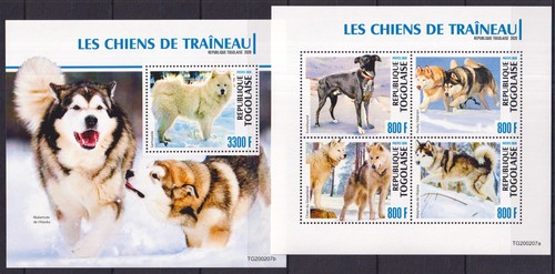 Yx1200 2020 togo cani - 2020,