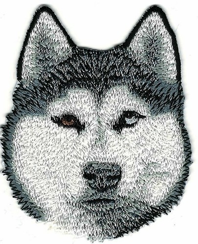 Occhio siberian husky patch - bi,