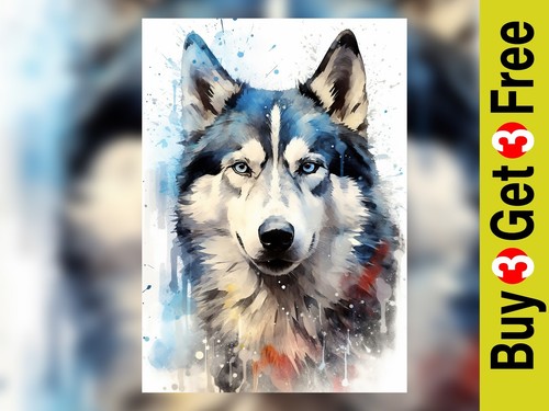 Siberian husky sguardo - 5", x