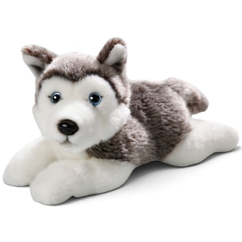 Carl dick husky - carl, cane