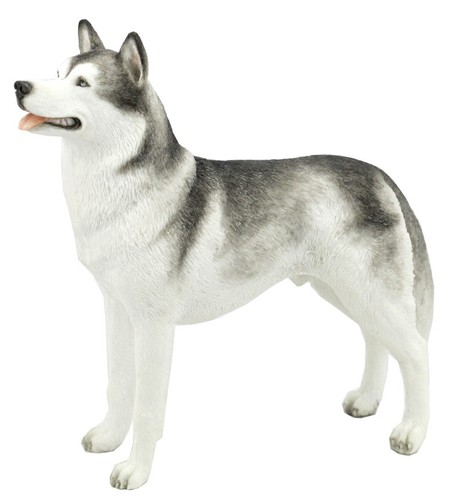Statuina siberian husky - statuina,