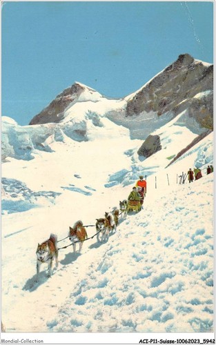 Acip11 svizzera 0940 - acip11-svizzera-0940,