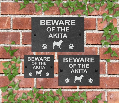 Attenzione cane ardesia - attenzione, al