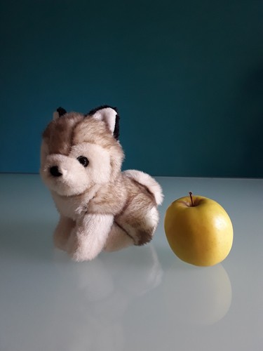 Trudi peluche cane husky - cane,