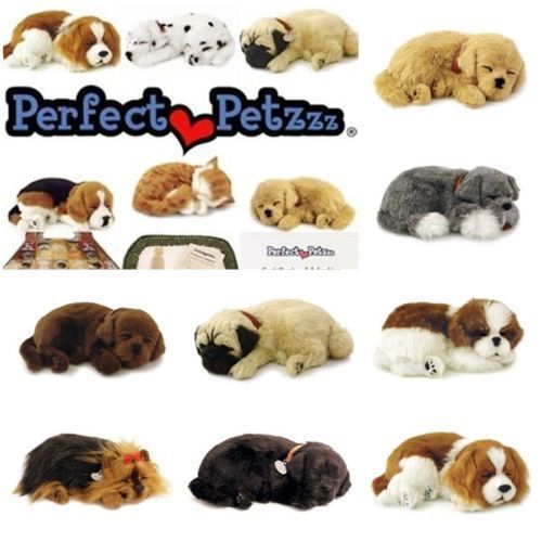 Perfect petzzz cani gatti - perfect,