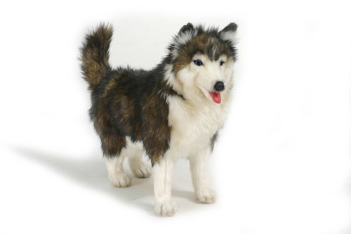 Peluche morbido husky - husky, pup