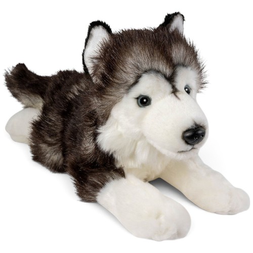 Carl dick husky - carl, cane