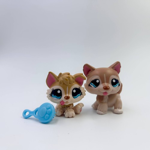 Lps littlest pet shop husky - littlest,