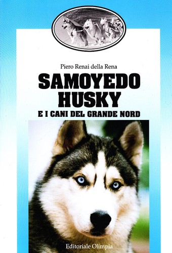 Samoiedo husky cani - samoiedo, i