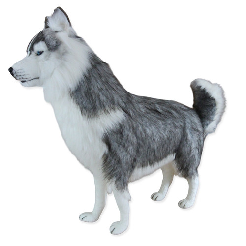 Peluche hansa siberian husky - siberian,