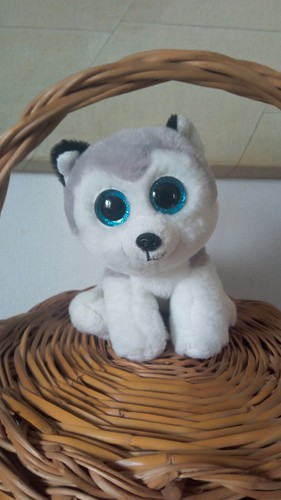 Morbido peluche cane - cane, husky