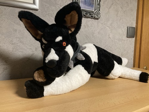 Peluche cane husky fatto - , a