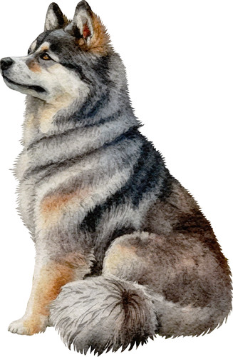 Adesivi auto per cani - 2,